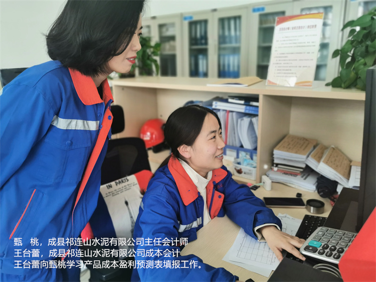 甄桃  王台蕾  成县祁连山水泥有限公司  成本会计王台蕾向主任会计师甄桃学习产品成本盈利预测表填报工作.jpg